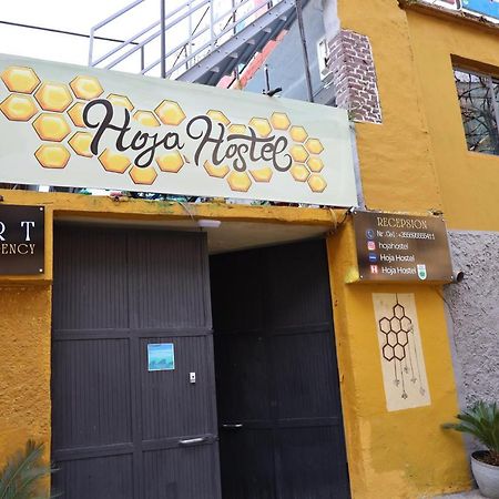 Hoja Hostel Тирана Екстериор снимка